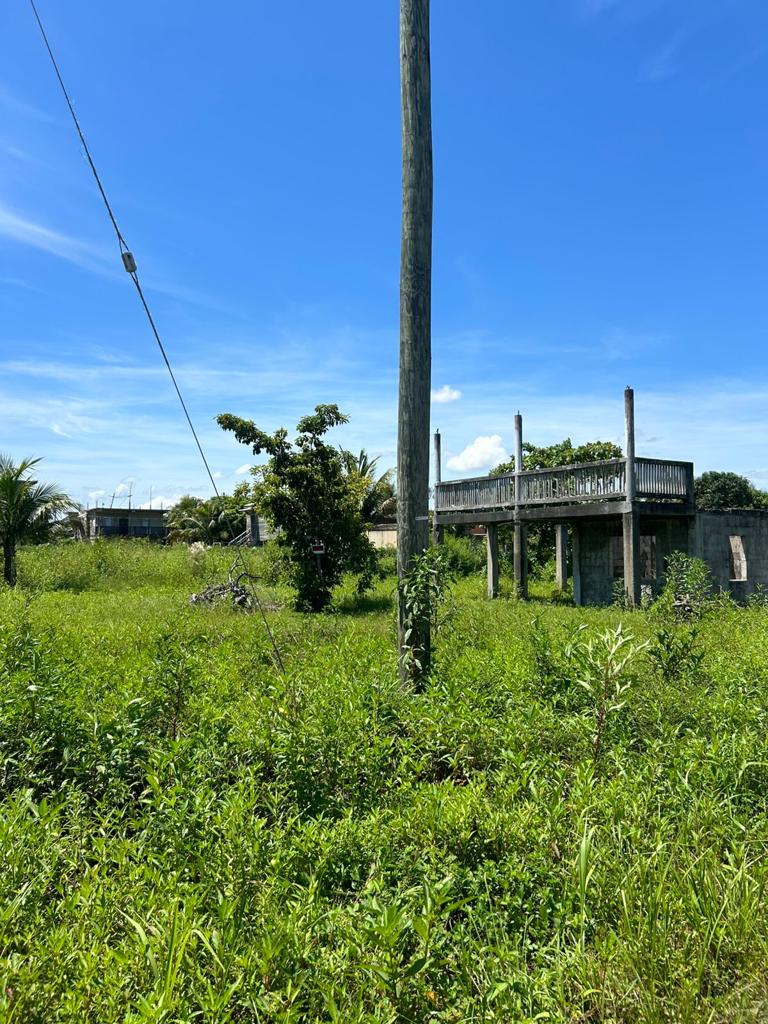 listing image with ID 58851