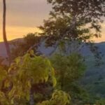 listing image thumbnail with ID 58692