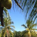 listing image thumbnail with ID 59141