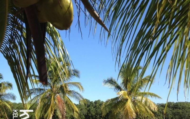 listing image with ID 59141