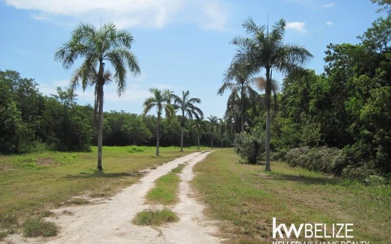 listing image with ID 59156