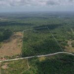 listing image thumbnail with ID 58981