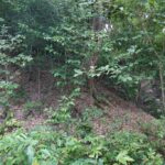 listing image thumbnail with ID 58533