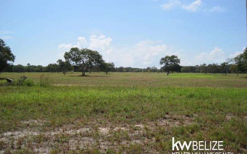 listing image with ID 59138