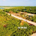 listing image thumbnail with ID 58594