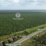 listing image thumbnail with ID 58998