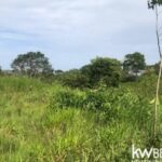 listing image thumbnail with ID 58670