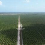 listing image thumbnail with ID 58997