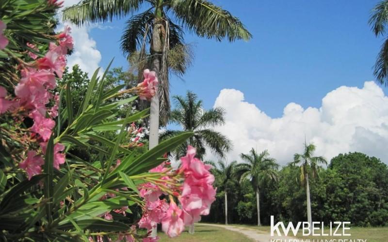 listing image with ID 59130