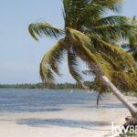 listing image thumbnail with ID 59191