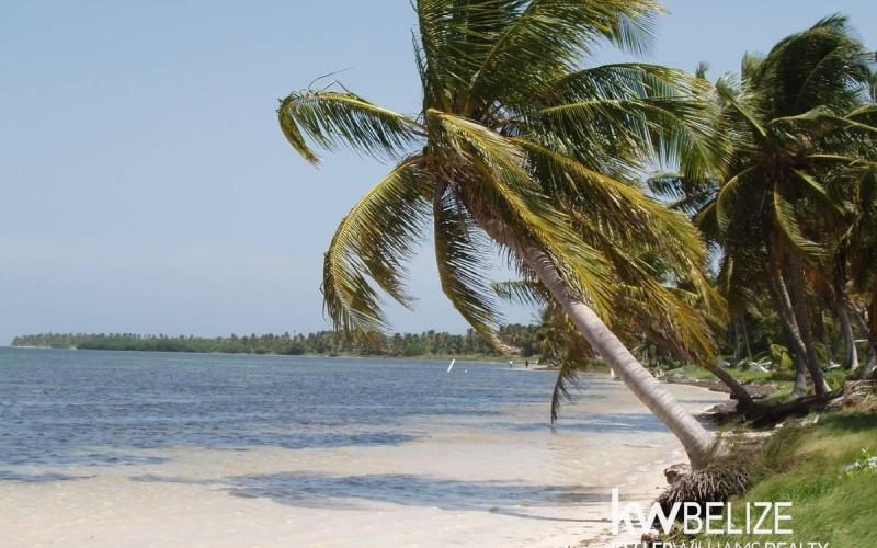 listing image with ID 59191