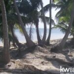 listing image thumbnail with ID 59190