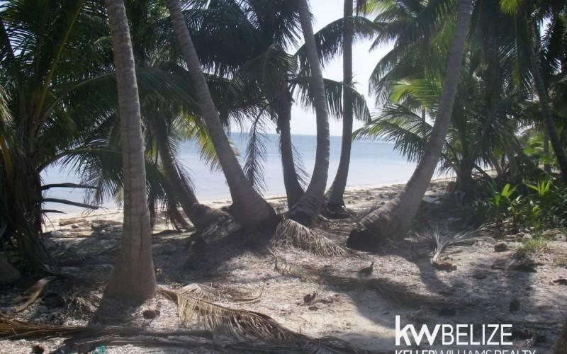 listing image with ID 59190