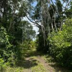 listing image thumbnail with ID 59560