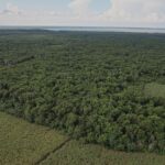 listing image thumbnail with ID 59679