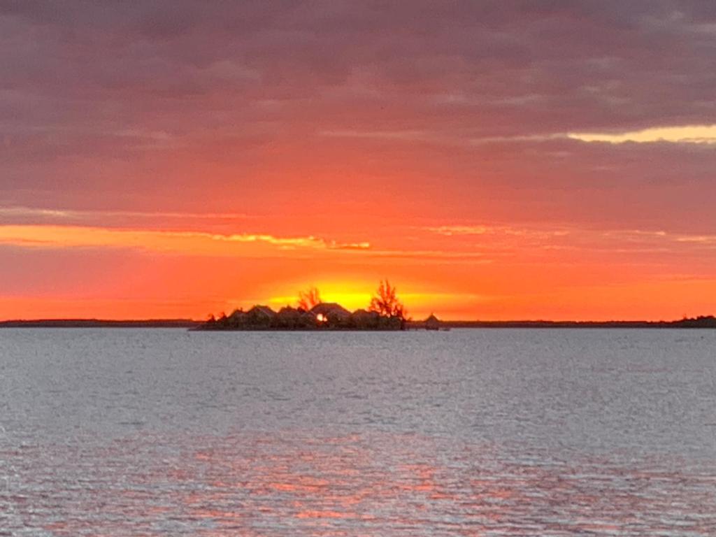 listing image with ID 60233