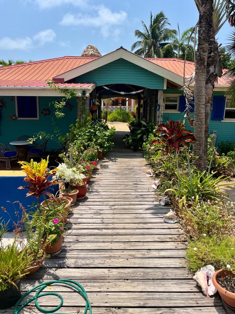 listing image with ID 60232