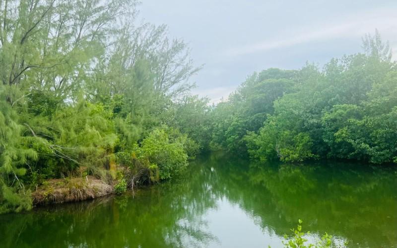 listing image with ID 59823