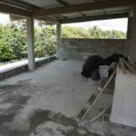 listing image thumbnail with ID 59628