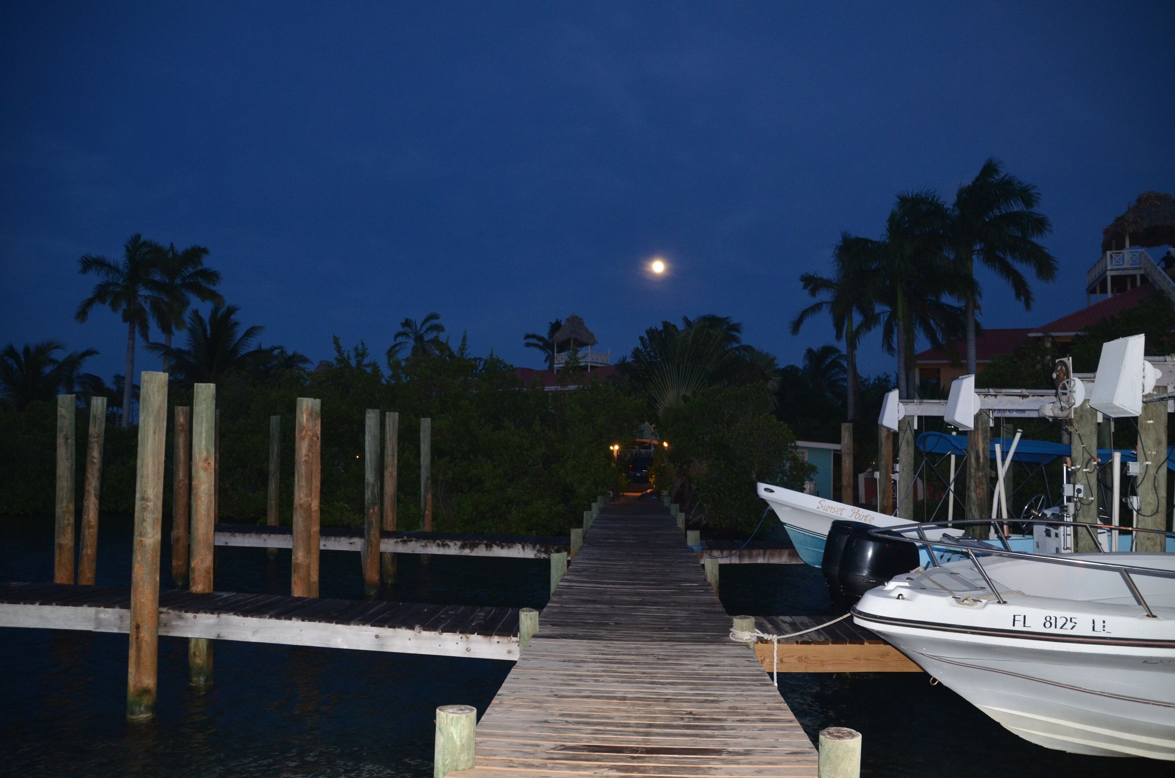 listing image with ID 60130