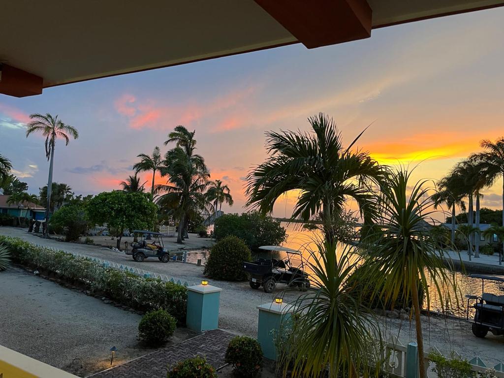 listing image with ID 60228