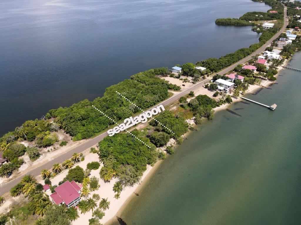 listing image with ID 60352