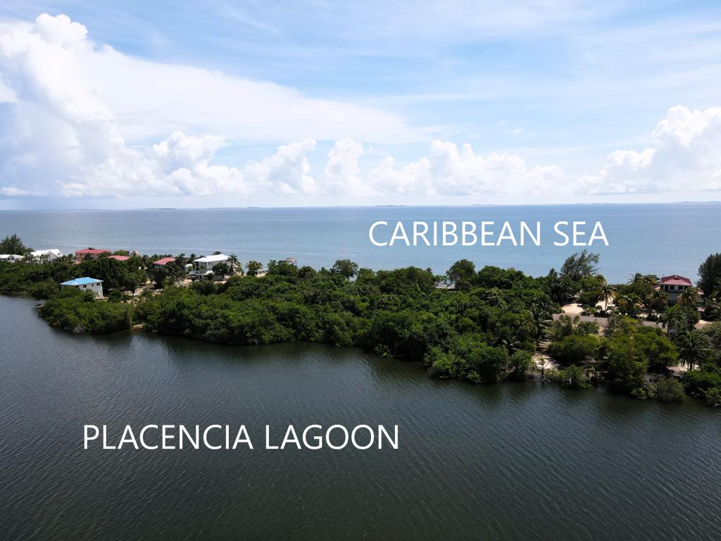 listing image with ID 60346