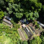 listing image thumbnail with ID 59801