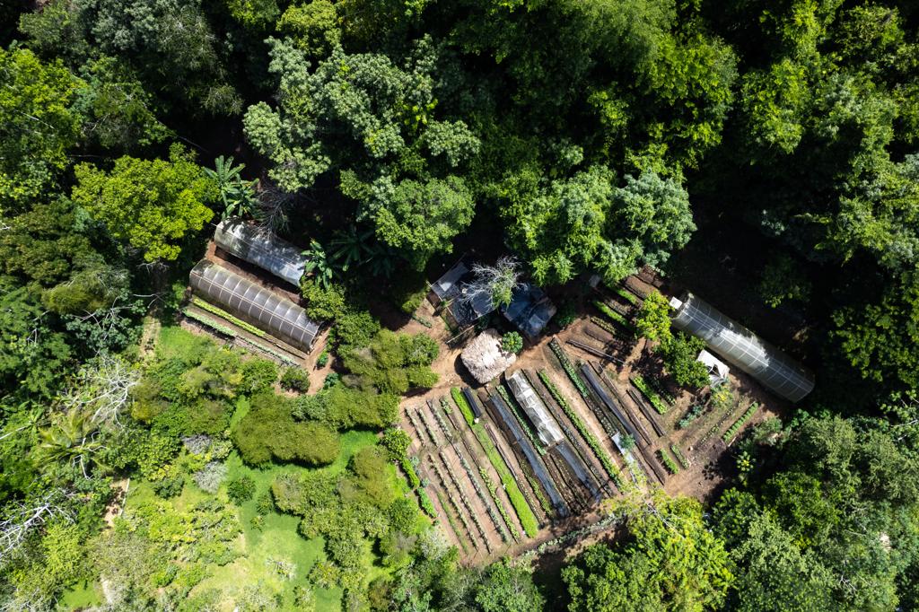 listing image with ID 59801