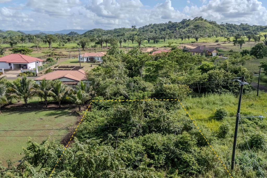 listing image with ID 60259