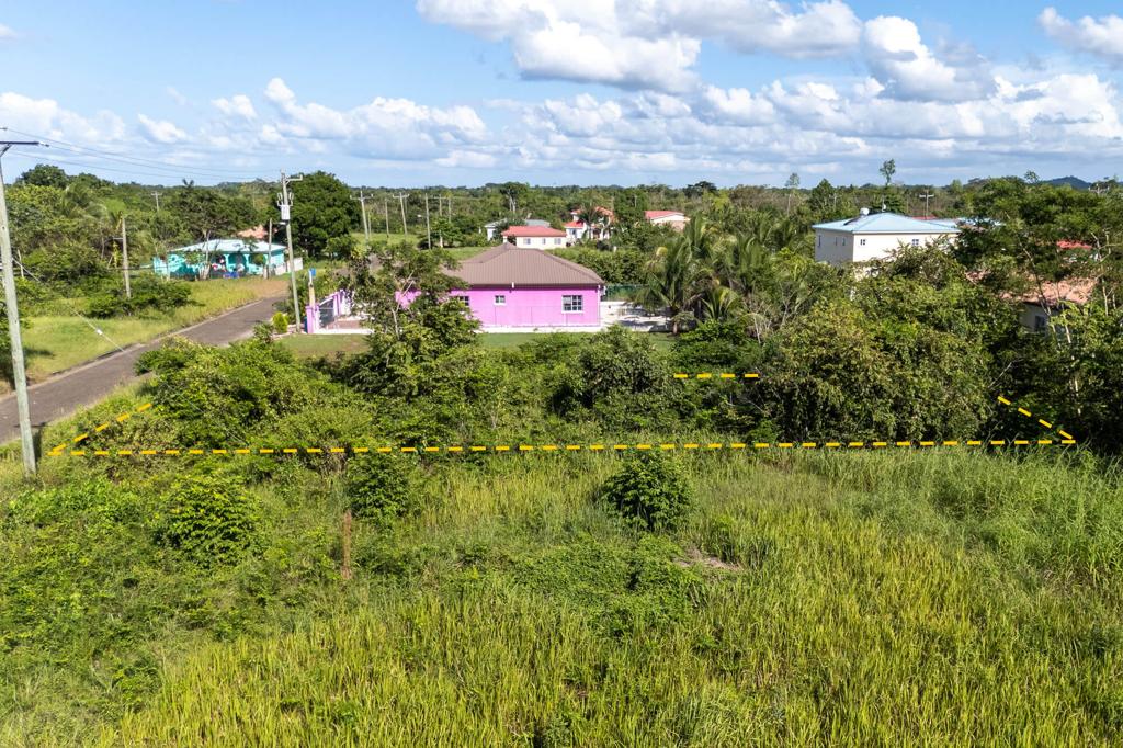 listing image with ID 60252