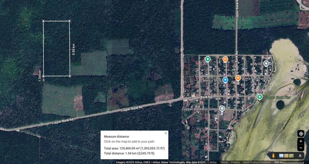 listing image with ID 59677
