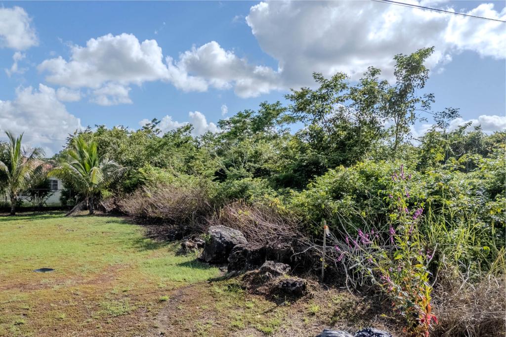 listing image with ID 60254