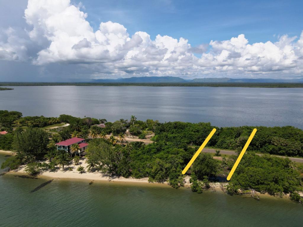 listing image with ID 60353