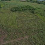 listing image thumbnail with ID 59545