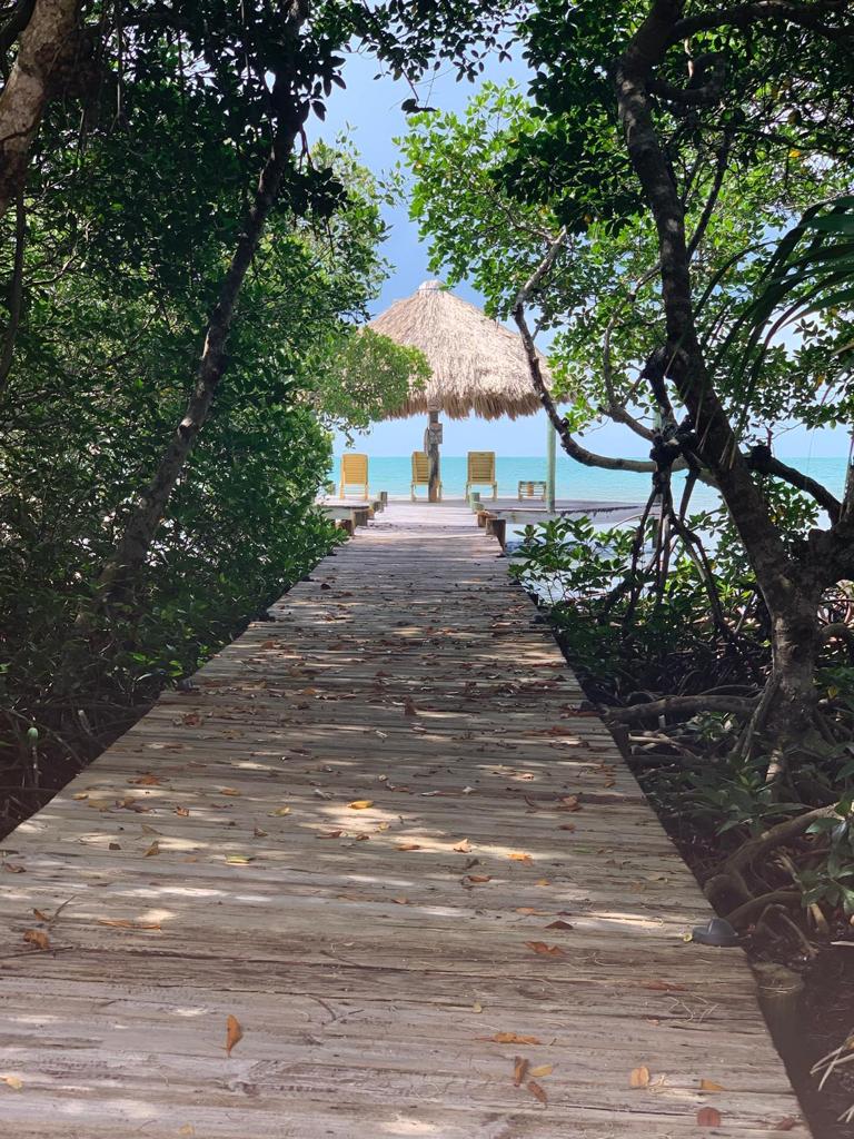 listing image with ID 60227