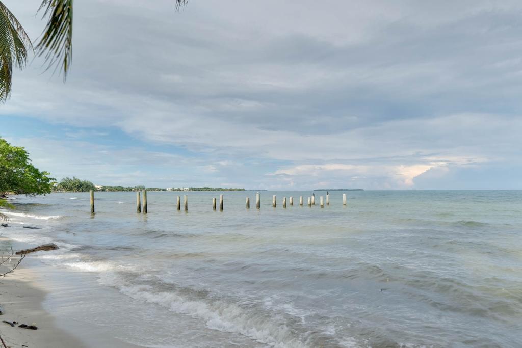 listing image with ID 60277