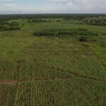 listing image thumbnail with ID 59543