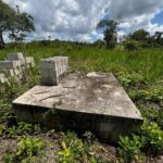 listing image thumbnail with ID 59553