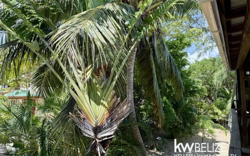 listing image with ID 60417