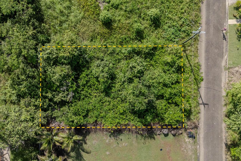 listing image with ID 60258