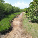 listing image thumbnail with ID 60319