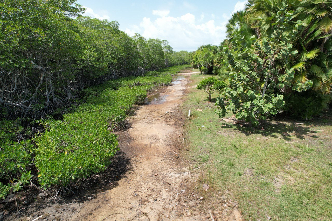 listing image with ID 60307