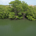 listing image thumbnail with ID 60336