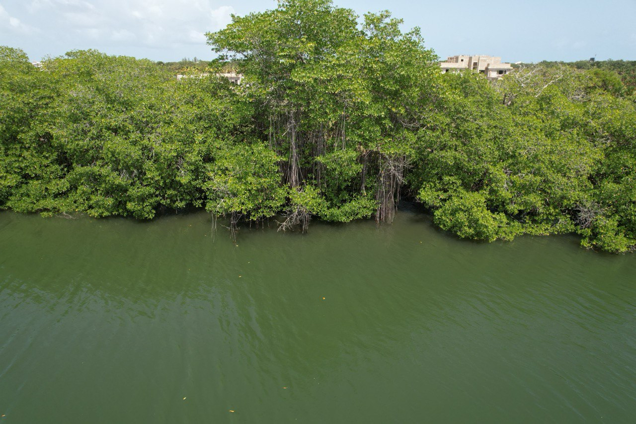 listing image with ID 60336