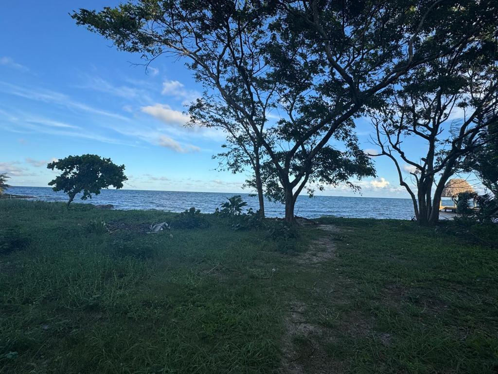 listing image with ID 59692