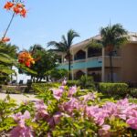 listing image thumbnail with ID 59727