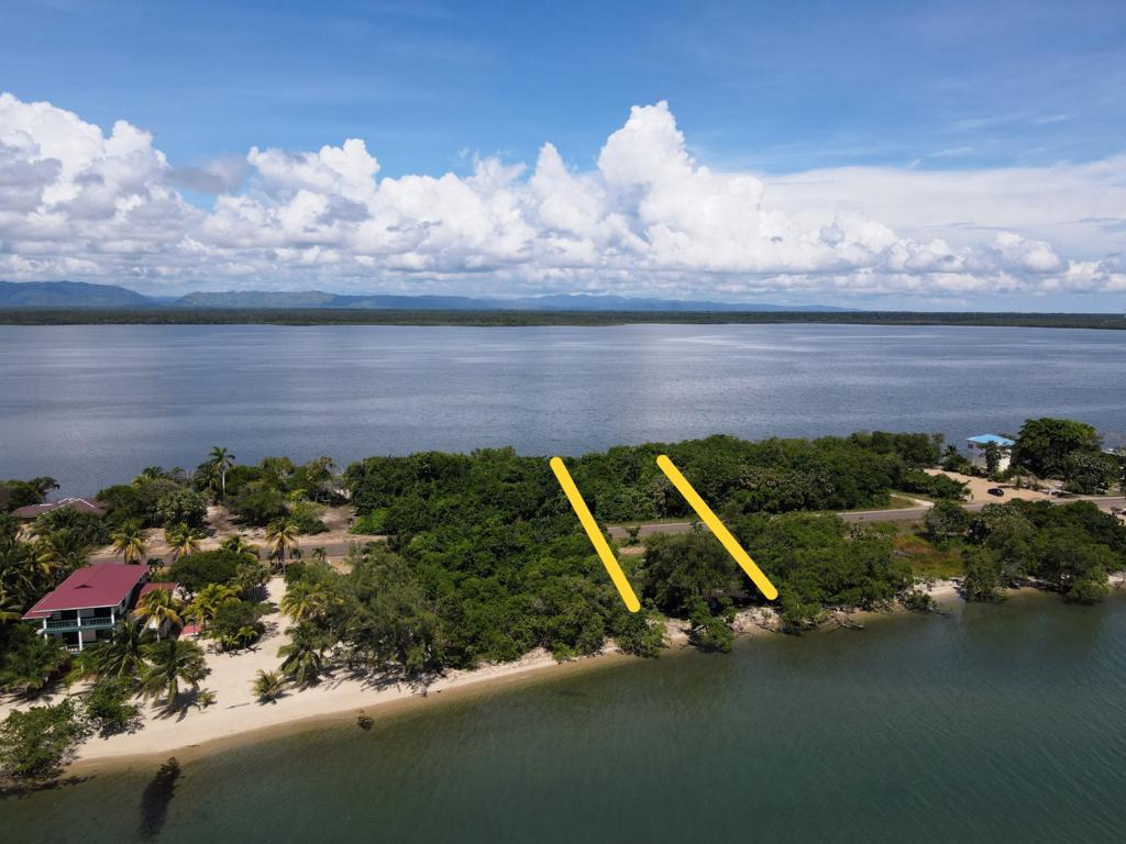 listing image with ID 60355