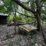 listing image thumbnail with ID 59555