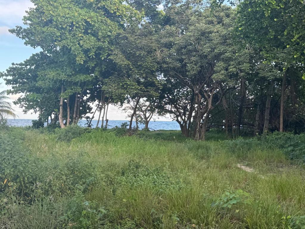 listing image with ID 59879